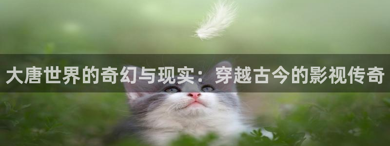 九七在线观看免费高清电视剧窝窝美：大唐世界的奇幻与现实：穿越古今的影视传奇