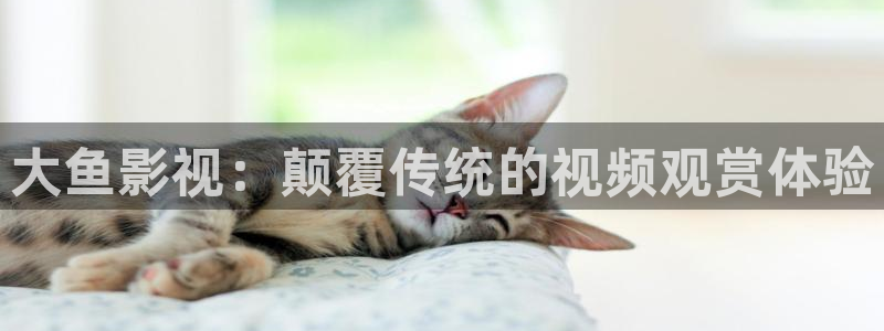 九七年电影院在线免费观看：大鱼影视：颠覆传统的视频观赏体验