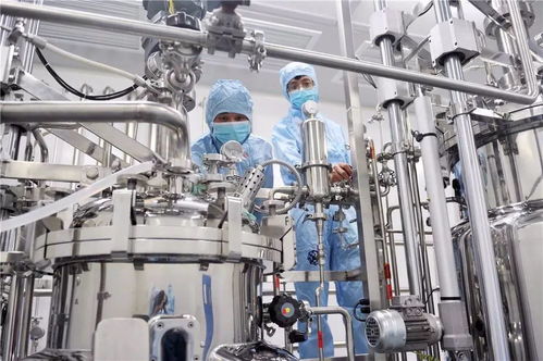 2019宁波杭州湾新区发展展望 警惕灰犀牛与黑天鹅事件对网络设备领域的影响