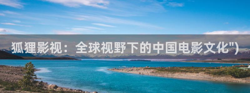 九七手机电影网：狐狸影视：全球视野下的中国电影文化\