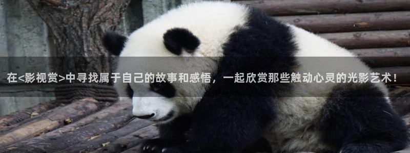 九七伦理影院：在<影视赏>中寻找属于自己的故事和感悟，一起欣赏那些触动心灵的光影艺术！