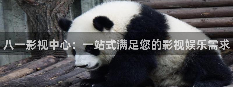 超碰在线九七：八一影视中心：一站式满足您的影视娱乐需求